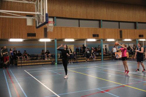IMG 4196